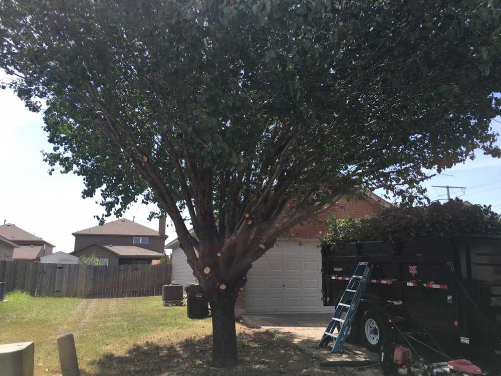 Landscaped backyard with stone seating area by Aiden's Construction, Austin TX